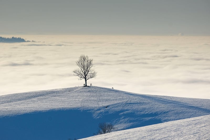 Mythical Landscape